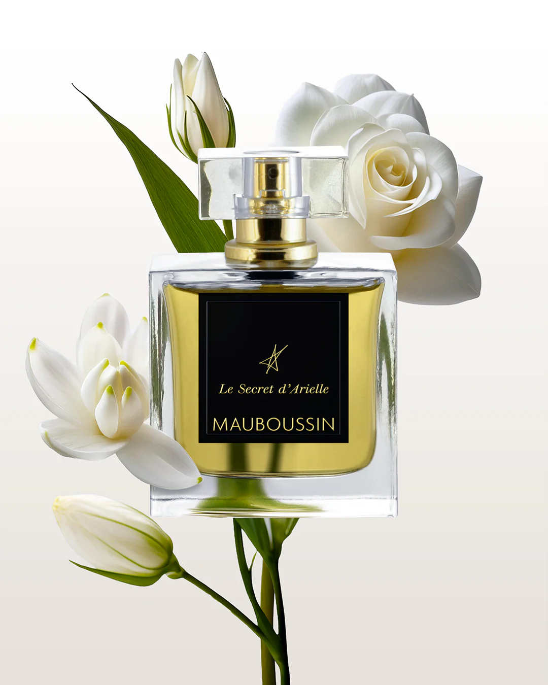 LE SECRET D'ARIELLE | EAU DE PARFUM - Image 4