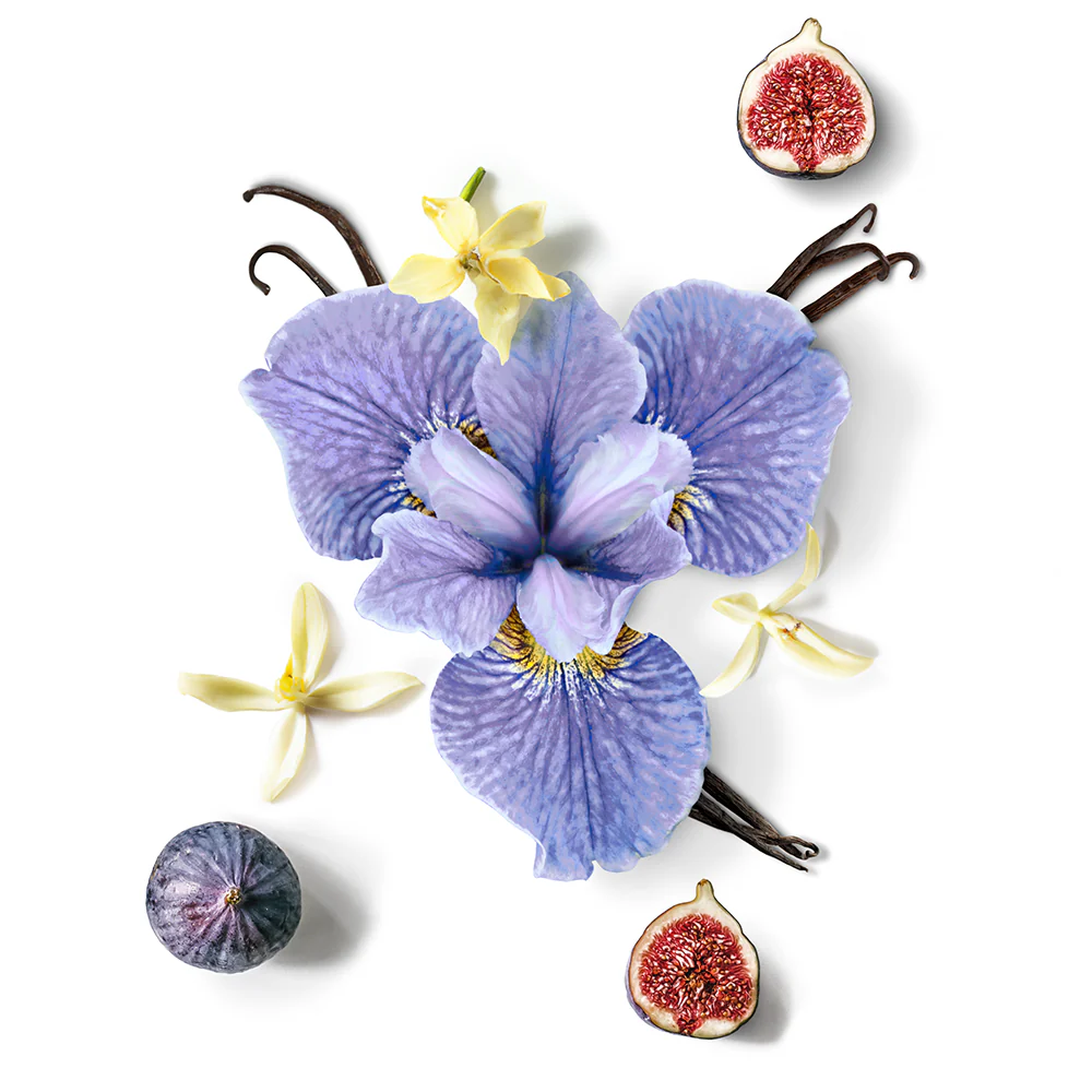 STAR | COFFRET DUO - Image 3